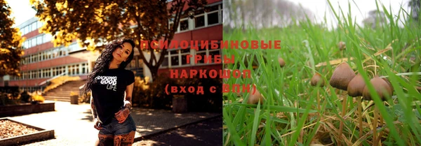соль ск Белоозёрский